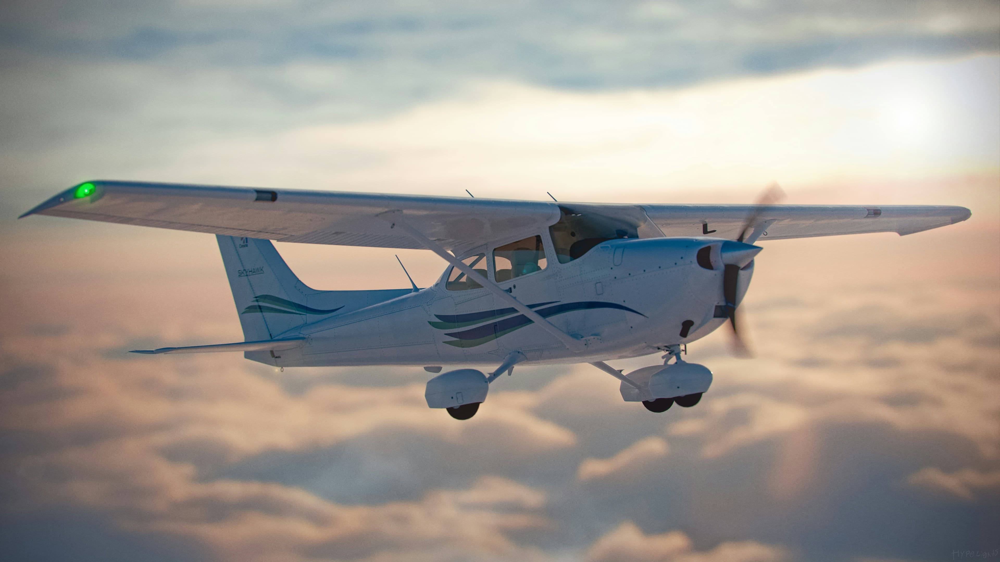 Flights Inc photo